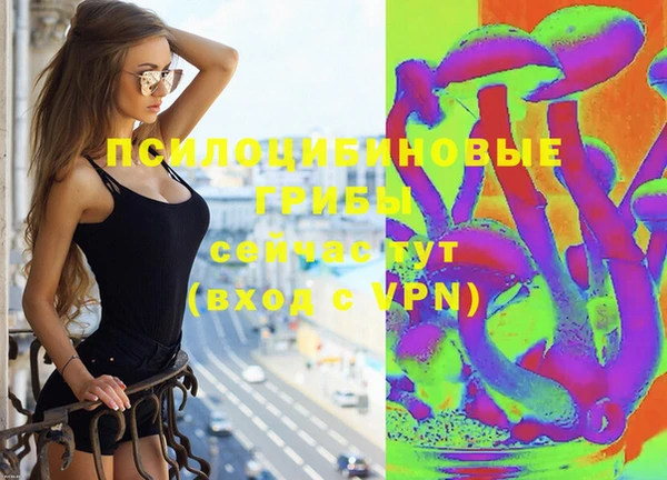 синтетический гашиш Арсеньев