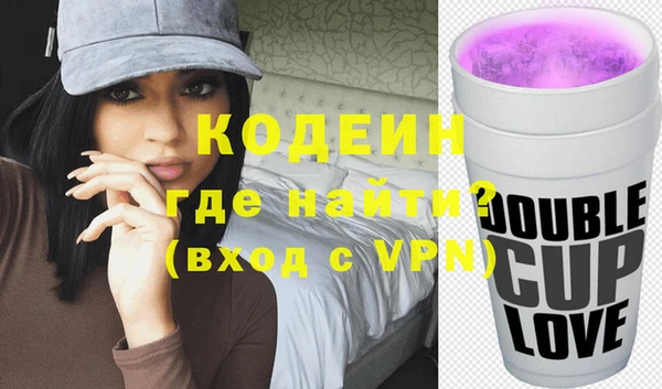 молекула духа Лабытнанги