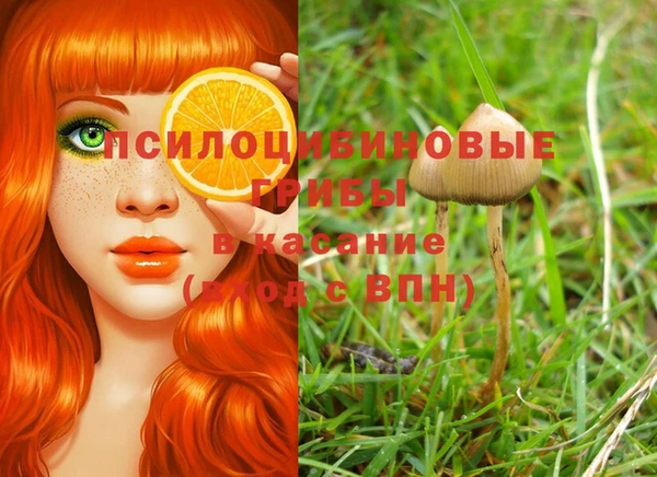 синтетический гашиш Арсеньев