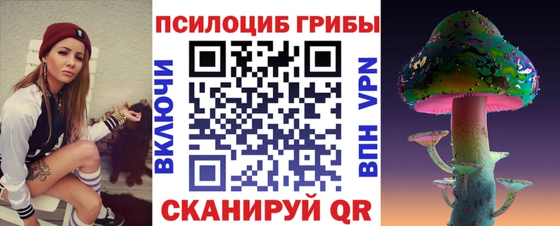 Галлюциногенные грибы Cubensis  мега ТОР  Асбест  цены наркотик 