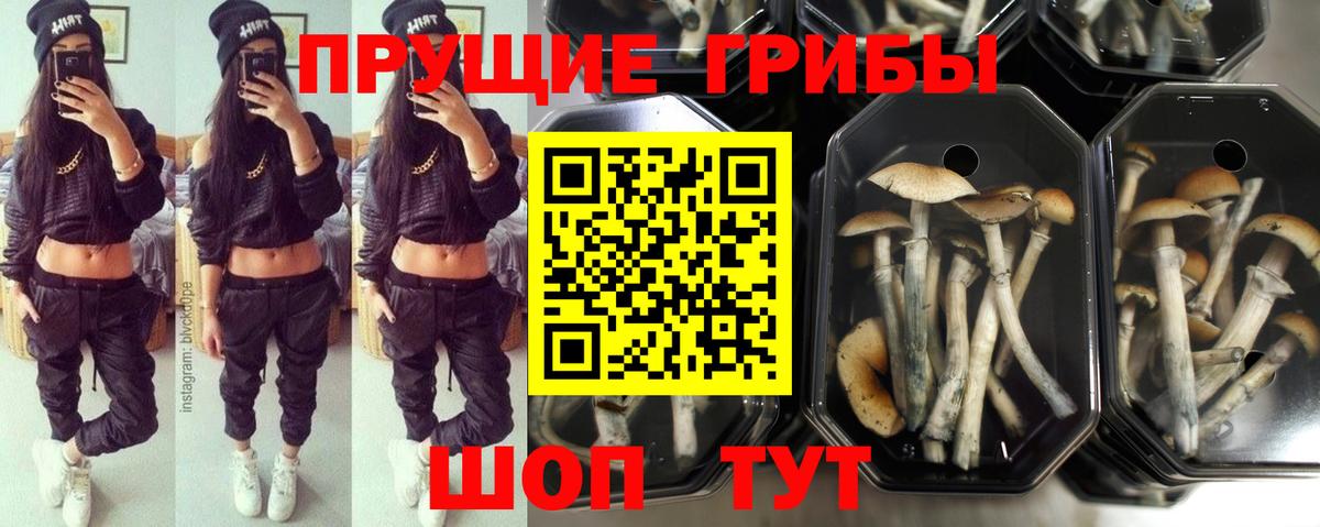 Гашиш Асбест