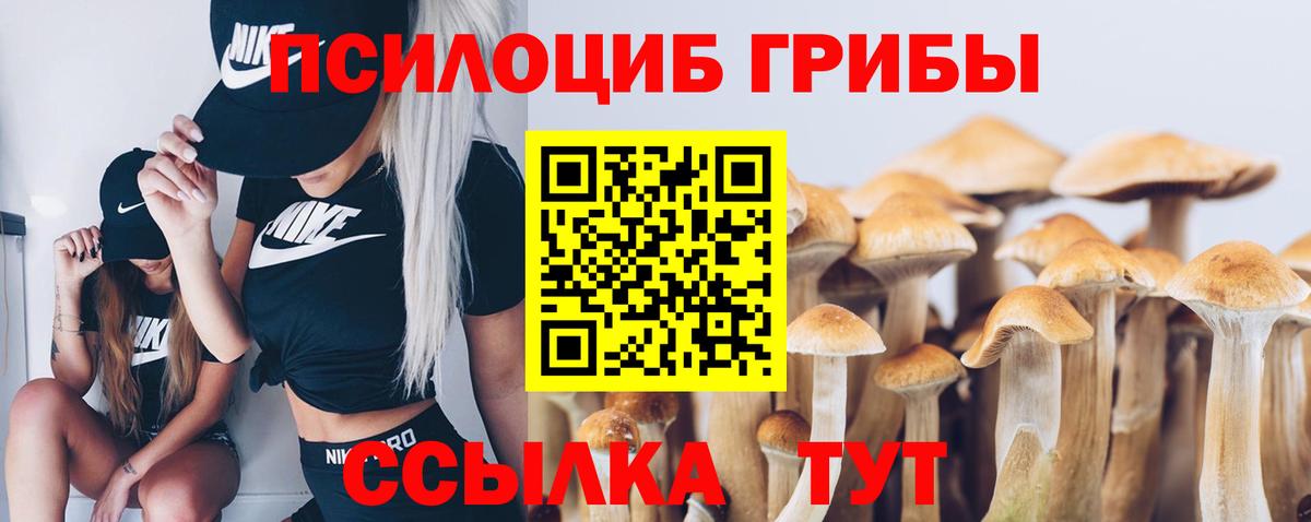 Галлюциногенные грибы прущие грибы  Вход с VPN  Асбест  купить   Галлюциногенные грибы Psilocybine cubensis 